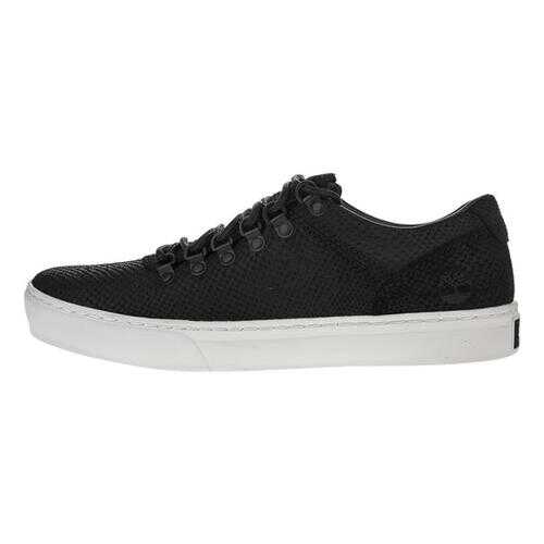 Кеды мужские Timberland TBLA2AJRM черные 8 US