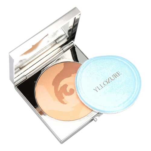 Пудра YLLOZURE TURBILLION 4604 Naturel 8 г