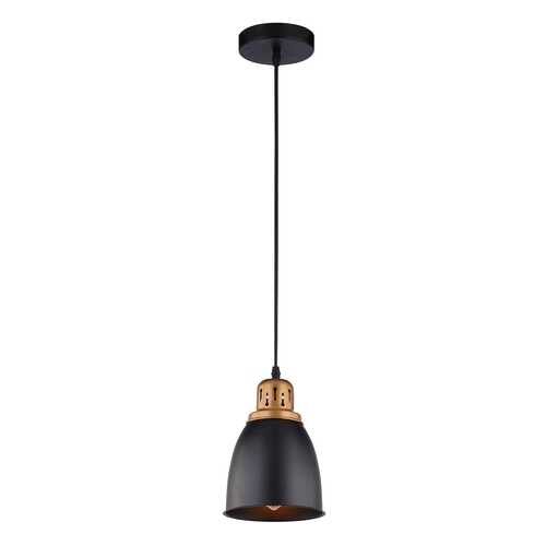 A4248SP-1BK Подвесной светильник Arte Lamp Eurica