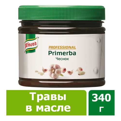 Приправа в растительном масле Knorr Primerba чеснок 340 г