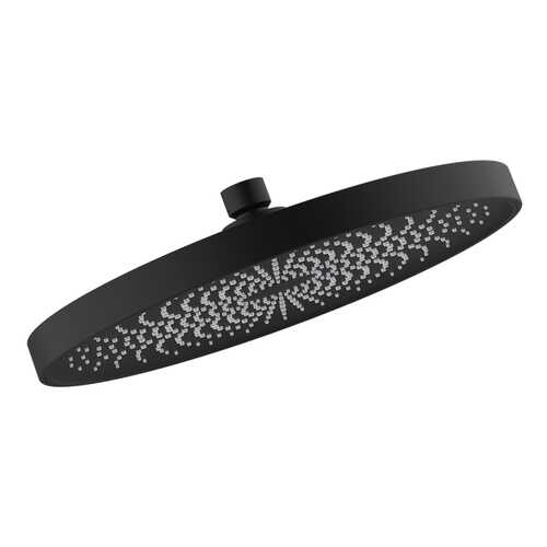 Душевая насадка верхняя IDDIS SpaHome SPA26BPi64
