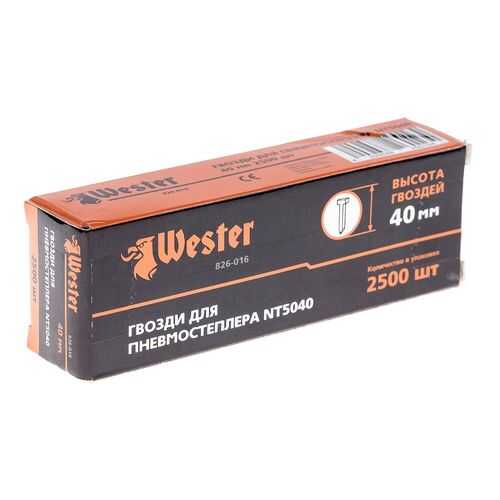 Гвозди 826-016 для пневмостеплера WESTER NT5040