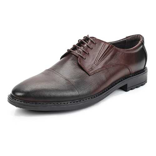 Туфли мужские Alessio Nesca 25807630 коричневые 41 RU