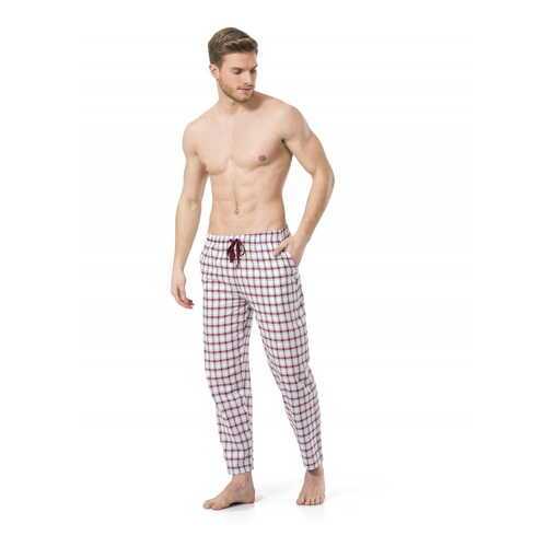 Брюки мужские Cacharel 2173 бордовые L