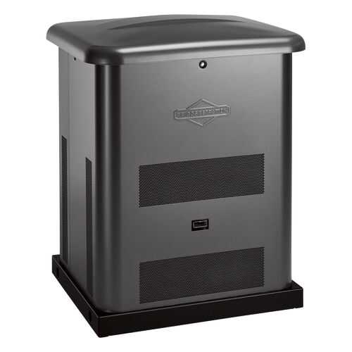 Генератор газовый Briggs & Stratton 040495