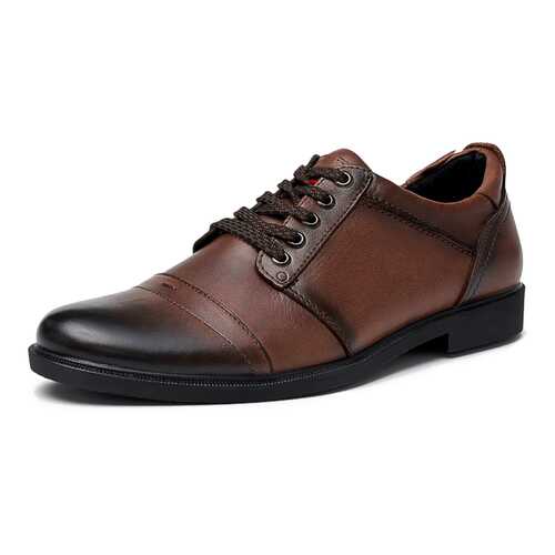 Туфли мужские Alessio Nesca K318A1R коричневые 40 RU