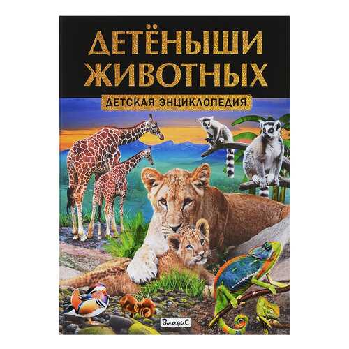 Детеныши Животных