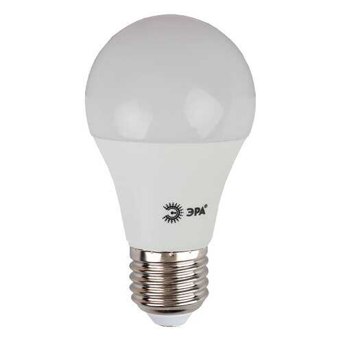 Лампочка ЭРА ECO LED A60-10W-840-E27 Б0028005