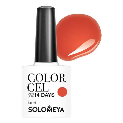 Гель-лак для ногтей Solomeya Color Gel Мина