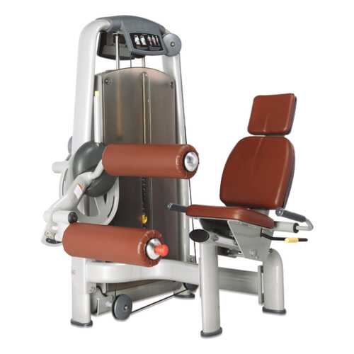 Сгибание/разгибание ног Bronze Gym A9-013