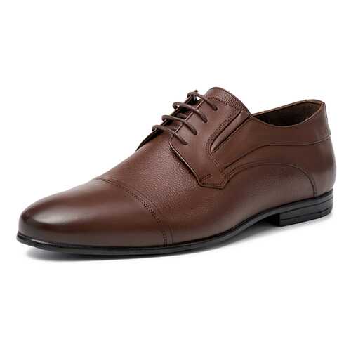 Туфли мужские Pierre Cardin TR-RA-K22 коричневые 44 RU
