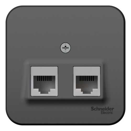 SE Blanca наруж Антрацит Розетка 2-ая компьютерная RJ45, кат.5E, изол. пластина