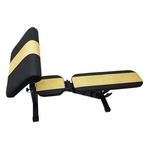 Универсальная скамья/скамья Скотта регулируемая Sportlim Orion Lite Yellow + Парта Скотта