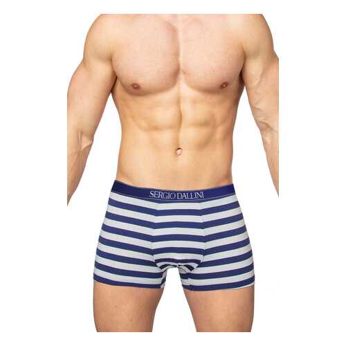 Трусы мужские SERGIO DALLINI SG2959 синие L
