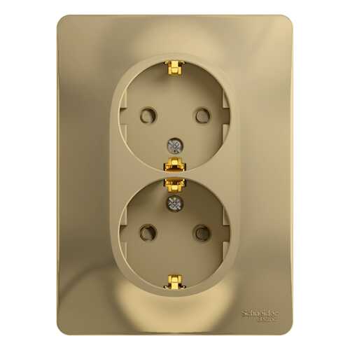 Сетевая розетка Schneider Electric GSL000426