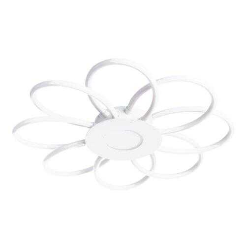 Светильник Arte Lamp POLLI A2528PL-8WH