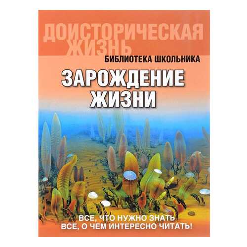 Библиотека Школьника. Зарождение Жизн и (Обложка). Габдуллин.
