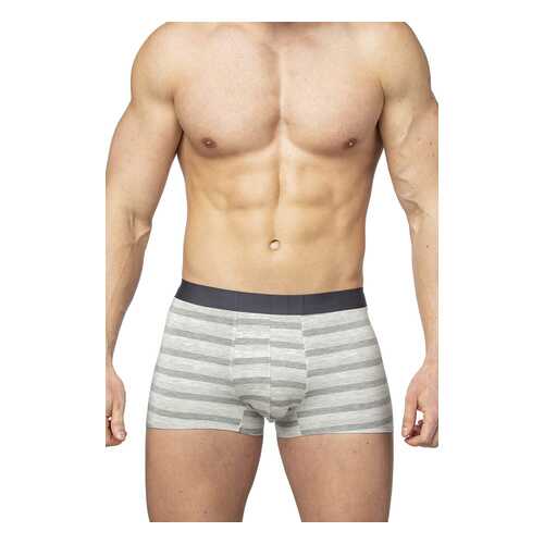 Трусы мужские SERGIO DALLINI SD2902 серые L
