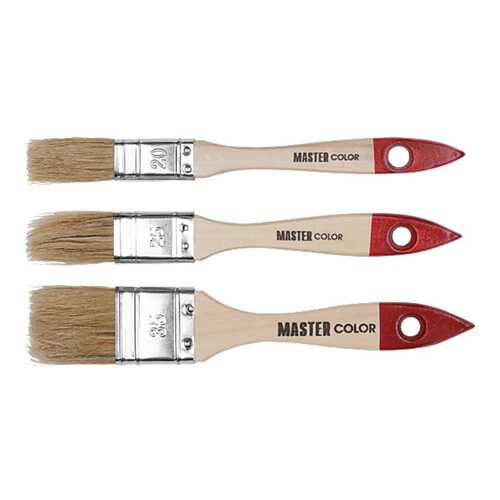 Набор кистей МASTER COLOR 30-0502