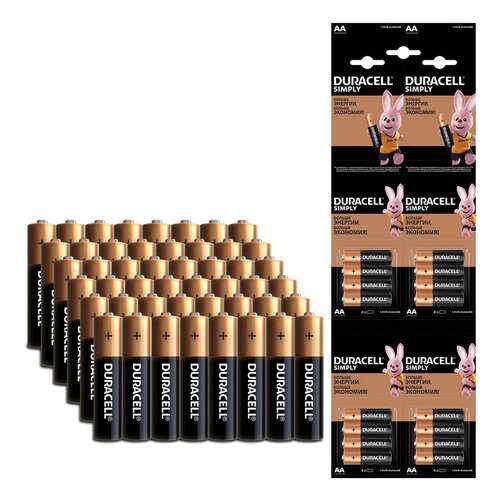 Батарейка Duracell AA (LR6) Big Pack (3*16), 48 шт
