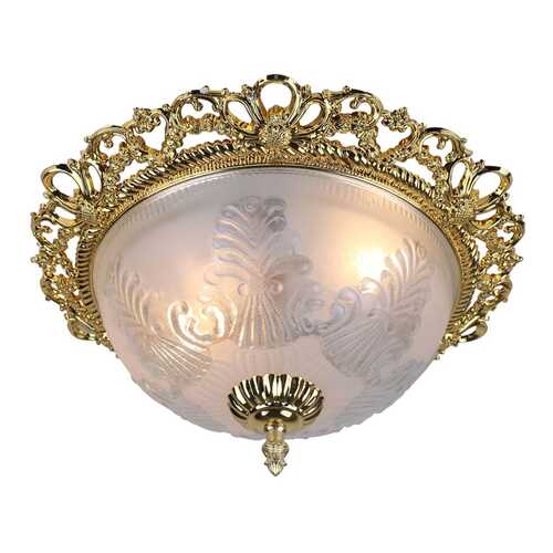 Потолочный светильник Arte Lamp Piatti A8002PL-2GO