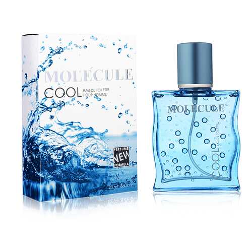 Туалетная вода для мужчин ПАРФЮМЕРИЯ XXI ВЕКА Molecule Cool