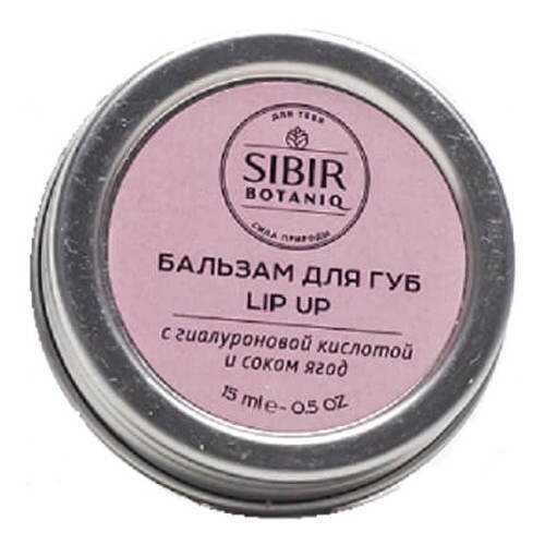 Бальзам для губ Lip Up с гиалуроновой кислотой Sibirbotaniq, 15 мл