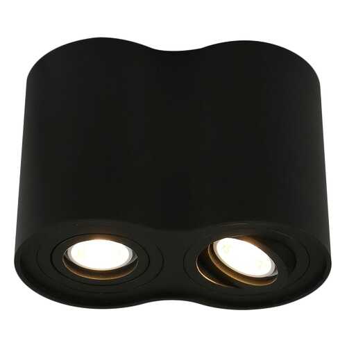 Потолочный светильник ARTE LAMP Falcon A5644PL-2BK