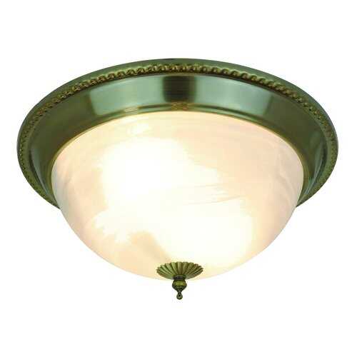 Потолочный светильник Arte Lamp 16 A1305PL-2AB