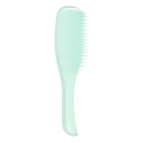 Расческа Tangle Teezer The Wet Detangler Fine & Fragile Sea Spray Green TWD-FF-ML-010319