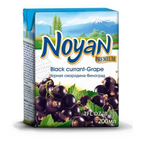 Черная смородина-виноград нектар Noyan premium 0.2 л