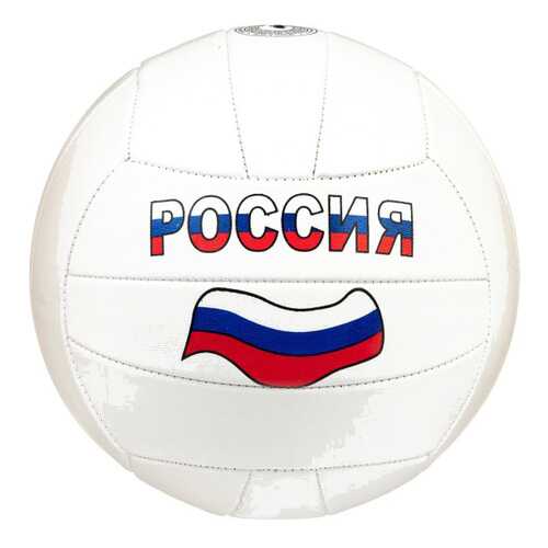 Волейбол в Интерспорт
