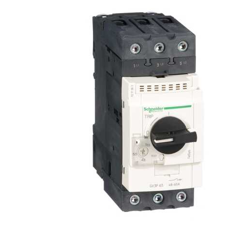 Автоматический выключатель Schneider Electric 65А GV3P65