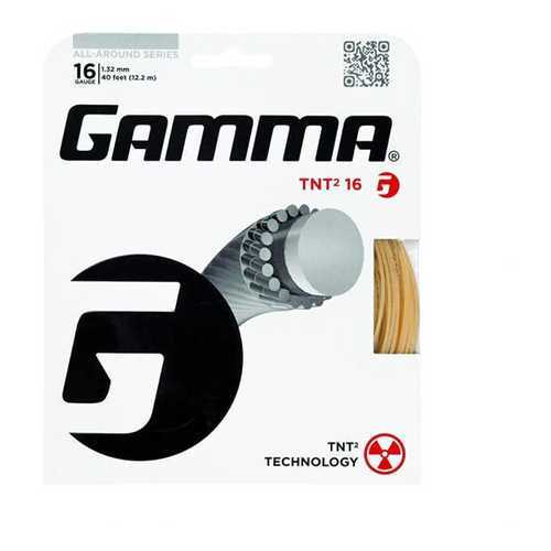 Gamma TNT2