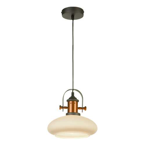 Подвесной светильник Lussole Loft LSP-9845