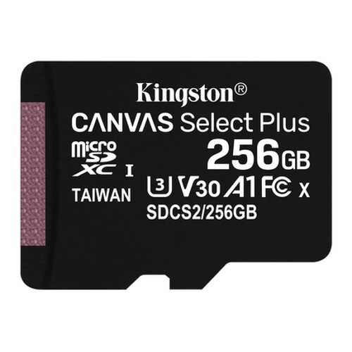 Карта памяти Kingston 256GB Canvas Select Plus (SDCS2/256GBSP)