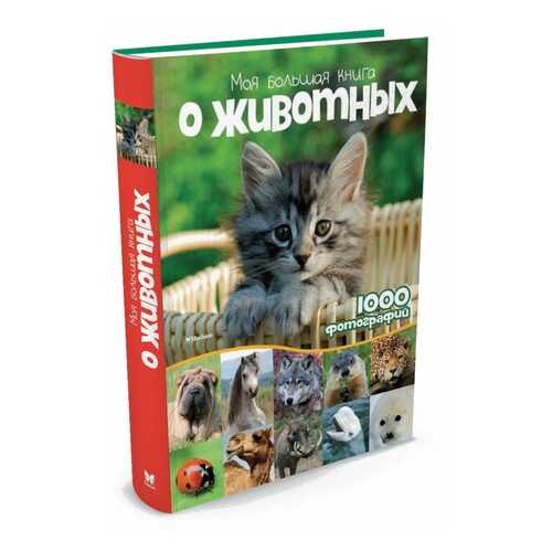 Детские книги в Детки