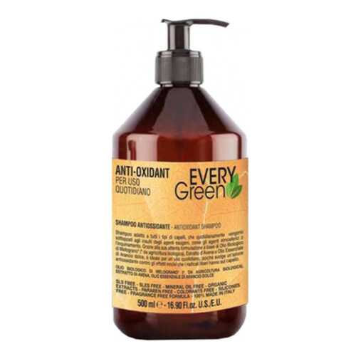 Шампунь Dikson Every Green Anti-Oxidant Antiossidante 500 мл