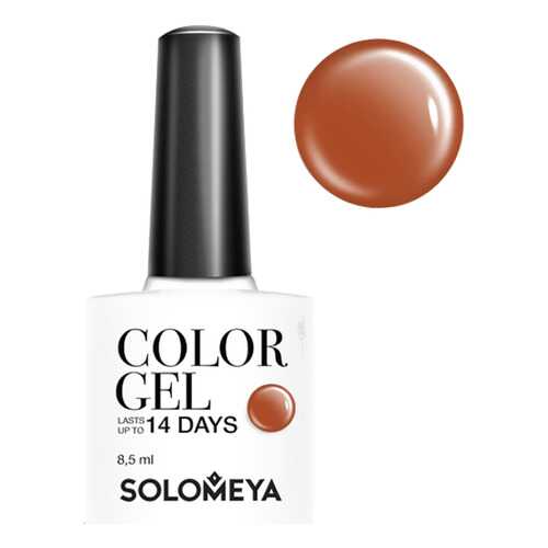 Гель-лак для ногтей Solomeya Color Gel Айриш
