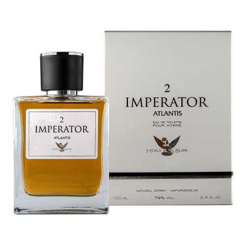 Туалетная вода Понти Парфюм Imperator Atlantis 2, 100 мл