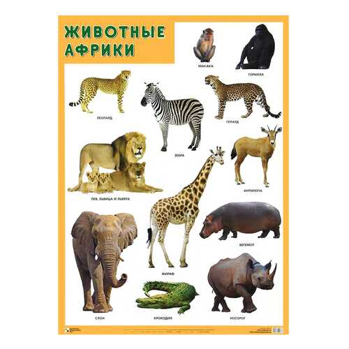 Детские книги в Дети