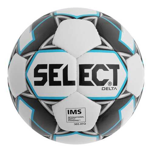 Футбольный мяч Select Delta №5 white/black/blue