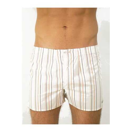 Трусы мужские UOMO FIERO 043FH белые/коричневые XL