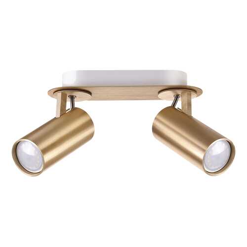 Спот Odeon Light 3876/2C gu10
