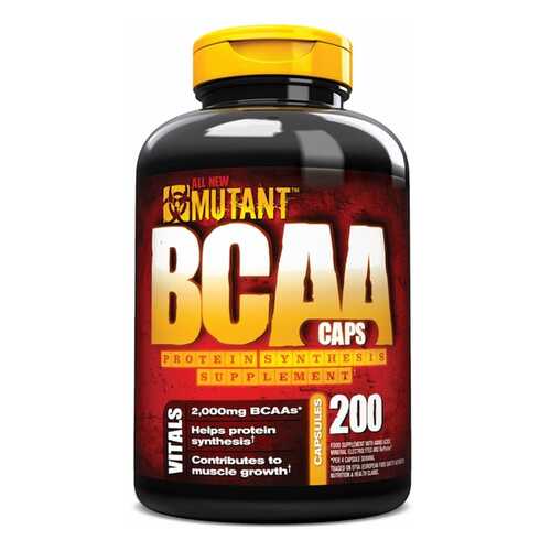Аминокислоты и BCAA в Кант