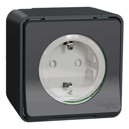 Розетка 1-модульная ОП Schneider Electric Mureva Styl, IP55, защитные, с заземлением