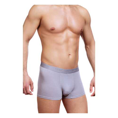 Трусы мужские SERGIO DALLINI SG2302 серые XL