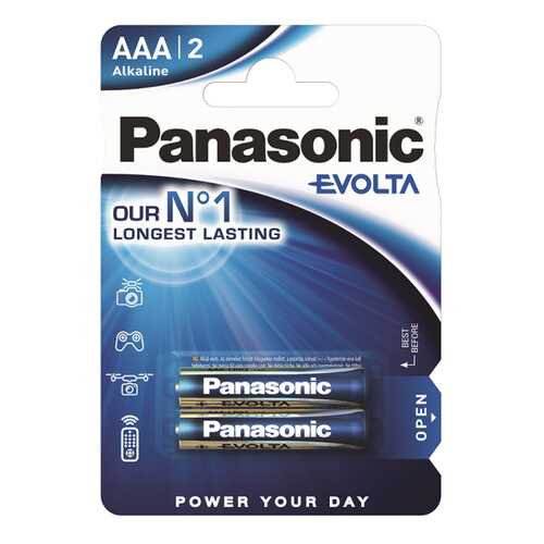 Батарейка Panasonic Evolta LR03EGE/2BP 2 шт