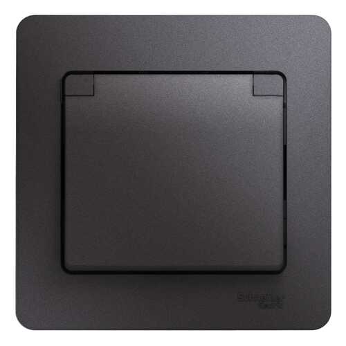 Сетевая розетка Schneider Electric GSL001346