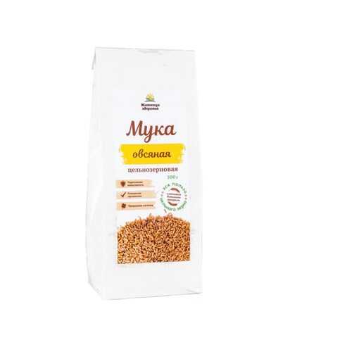 Мука, смеси для выпечки в Верный